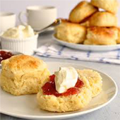 Scone Recipes icon