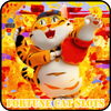 Fortune Cat Slots icon