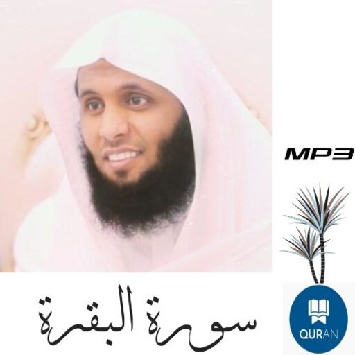 Surat Al-Baqarah Mansour Al-Salmi without Net icon