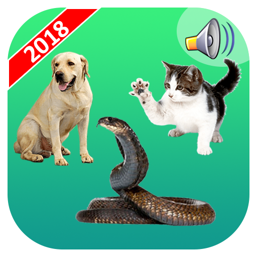 Real Animal Sounds Funny Prank icon