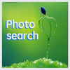 Image Search from Flickr icon