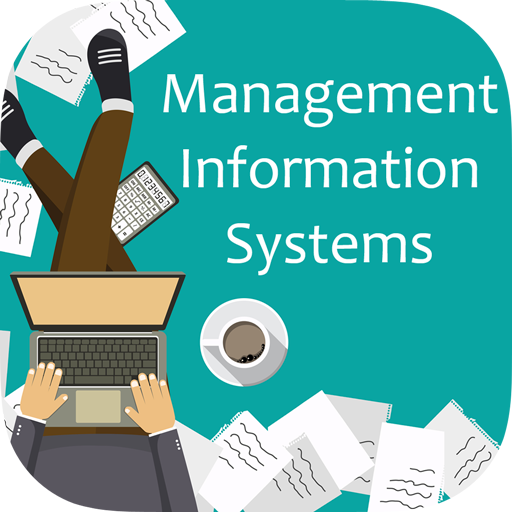 Management Information Systems icon