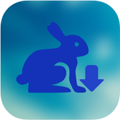 Smart Browser Downloader icon