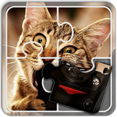 Jigsaw Puzzles Cats icon