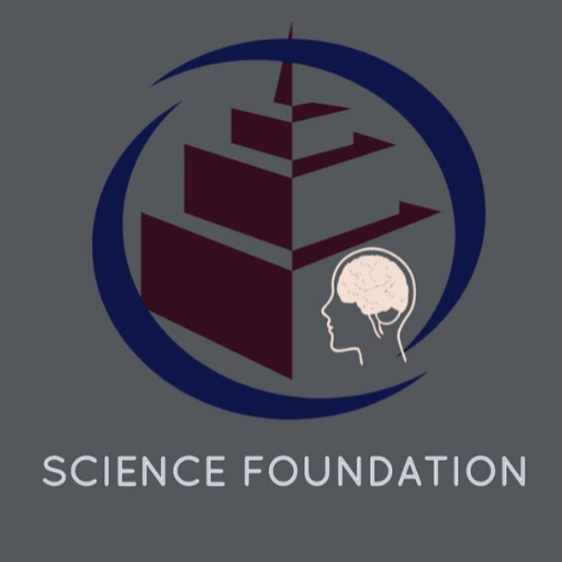P. S TATHE FOUNDATION icon