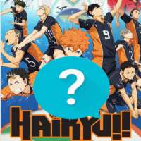 Haikyuu Trivia