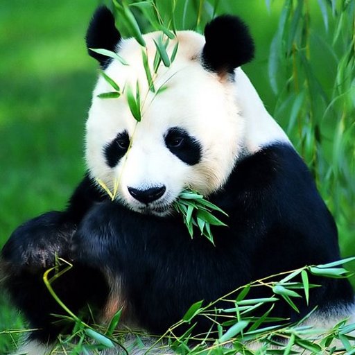 Animals Jigsaw Puzzles icon