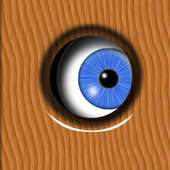 Spying Eye