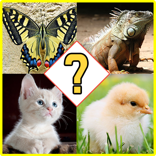 Animal Name Match Game - Fun Quiz icon