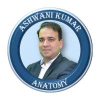 Anatomy by Dr. Ashwani Kumar