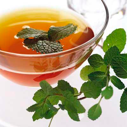 Tisanes et Infusions icon