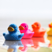 Cute Wallpapers icon