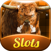 Buffalo Slots Free Slot Casino icon