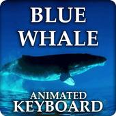 Blue Whale Keyboard icon