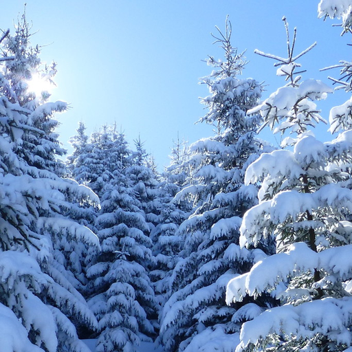 Winter Sound comfortable sleep icon