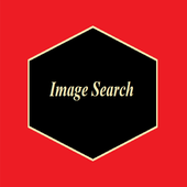 Image Search иконка