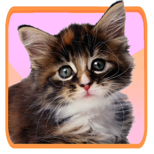 Kitty Cat Soundboard icon