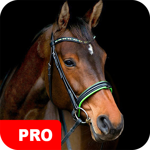 Horse Wallpapers PRO icon
