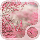 Spring Butterflies Wallpaper icon