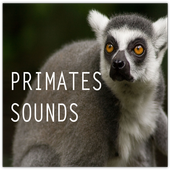 Primates Sounds icon