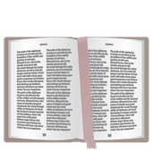 Daily Bible Reading Lite icon