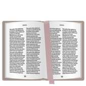 Daily Bible Reading Lite