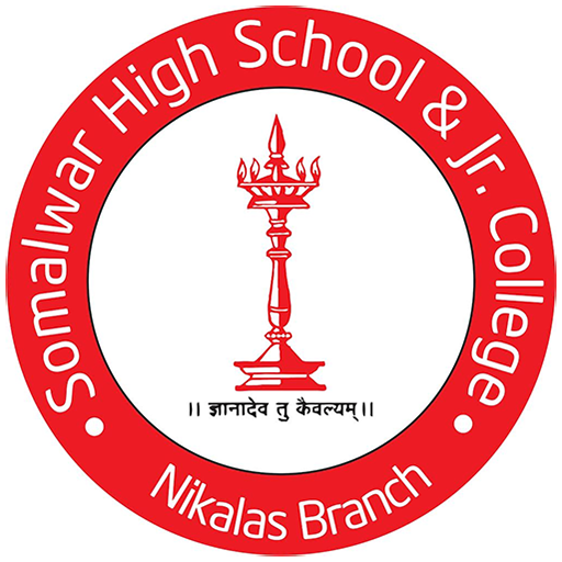 Somalwar econnect icon