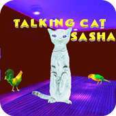 Talking Cat Sasha