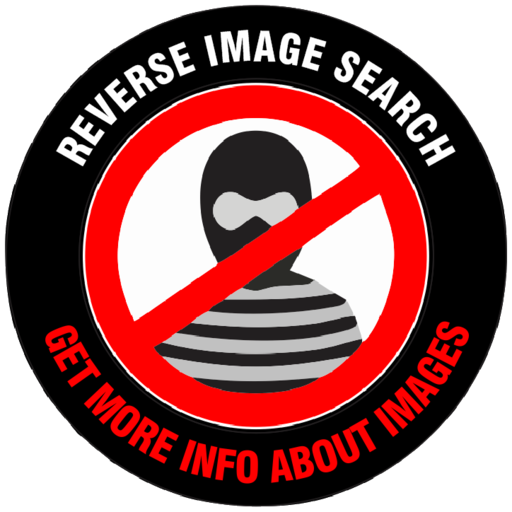 Reverse Image Search icon