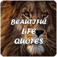 WONDERFUL CITES TO SEND on 9Apps