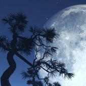 Nexus 6P HD Wallpapers on 9Apps