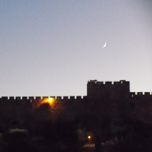 International Relations icon