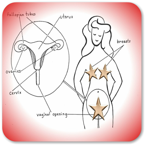 La pubertad de la niña icon