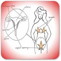 लड़कियों युवावस्था on 9Apps