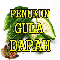 Aneka Herbal Penurun Gula Darah Efektif on 9Apps