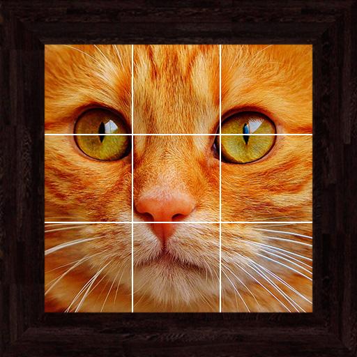 Cats Puzzles - 100 Pictures icon