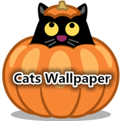 Cats Wallpapers icon