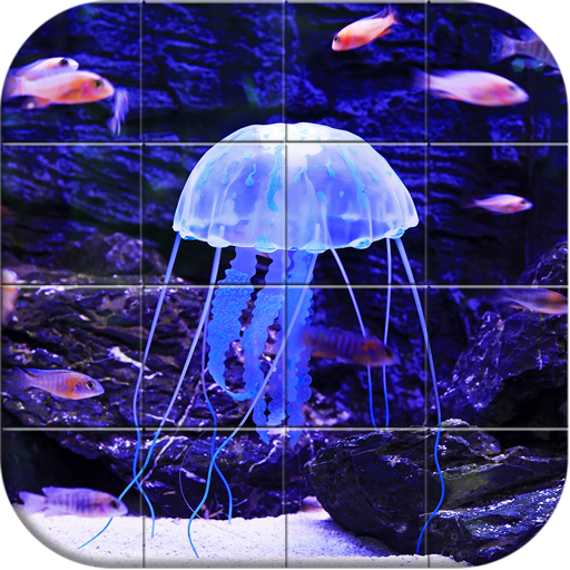 Sea world Puzzle icon