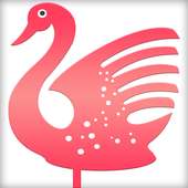 يوم ليف 2019 on 9Apps