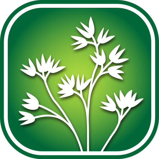 1500 Four Corners Wildflowers icon