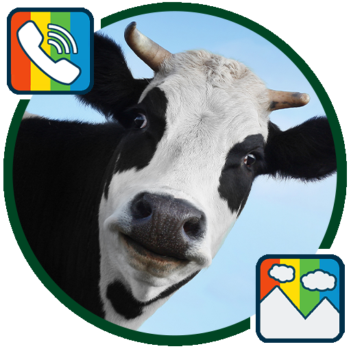 Cow - RINGTONES and WALLPAPERS icon