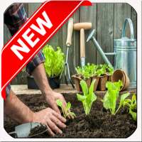 Como Cultivar Verduras on 9Apps