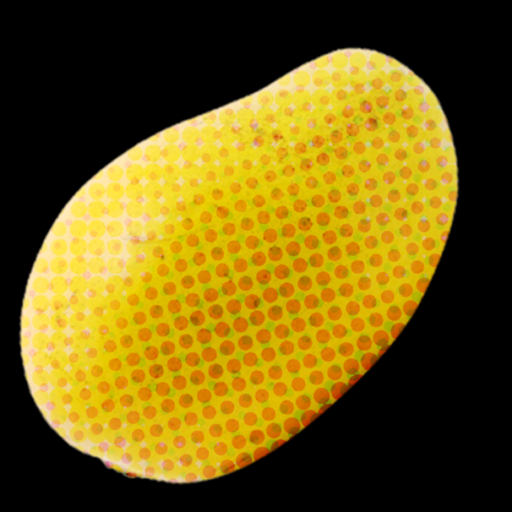 Philosophy of Survival icon