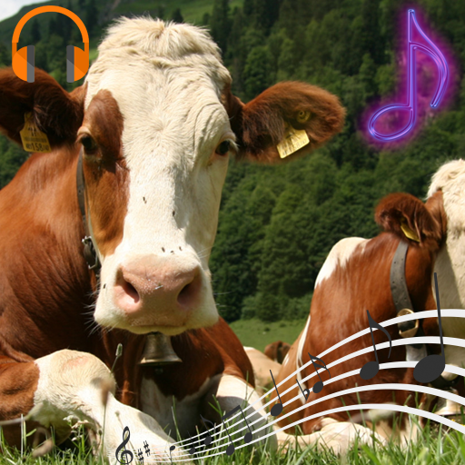 Cow Sounds and Ringtones icon
