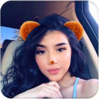 Kitty Photo Editor – Funny Stickers