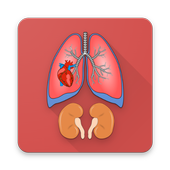 İnsan Anatomisi [Çevrimdışı] icon