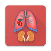 Menschliche Anatomie [Offline]