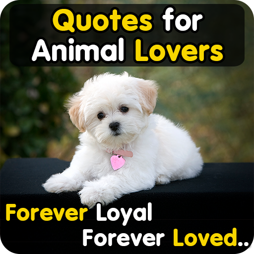 Animal Lover Quotes - Dog Lover Status - Cat Love icon