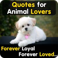 Animal Lover Quotes - Dog Lover Status - Cat Love