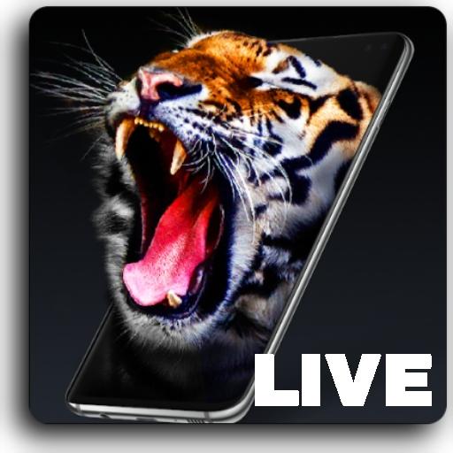 GIF Wallpapers - Live Background Wallpaper icon